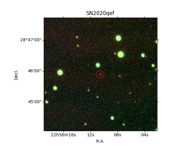 File:SN2020qef.png