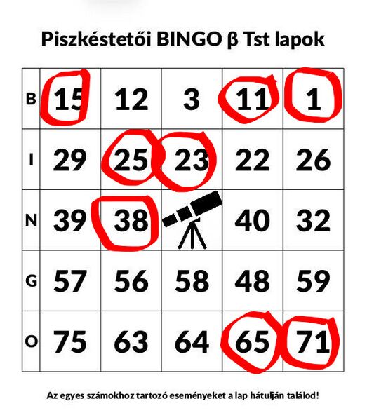 File:Bingo seli2.jpg